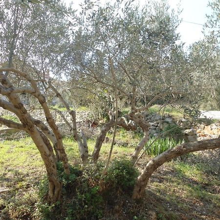 Apartment Bella Vista Kali Εξωτερικό φωτογραφία